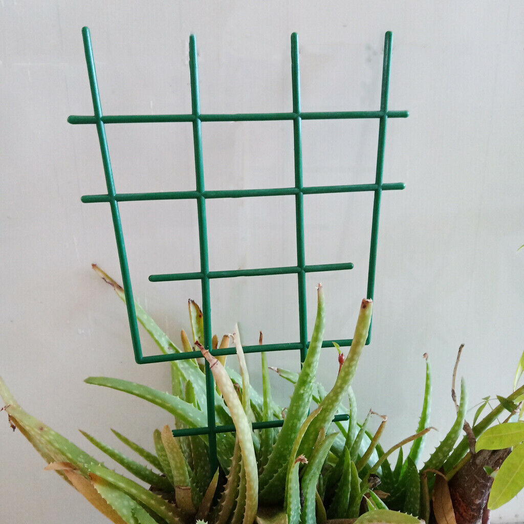 36pcs DIY Plant Stem Support  Climbing Trellis for Flower Vegetable Supports
