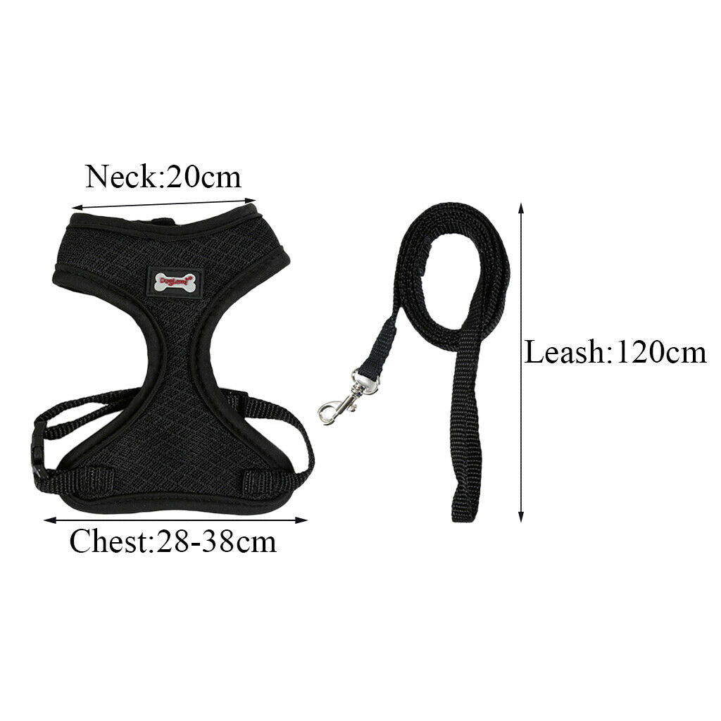 Set of 2, Pet Cat Kitten Soft & Comfy Made Well 120cm/3.94ft Leash Puppy Dog