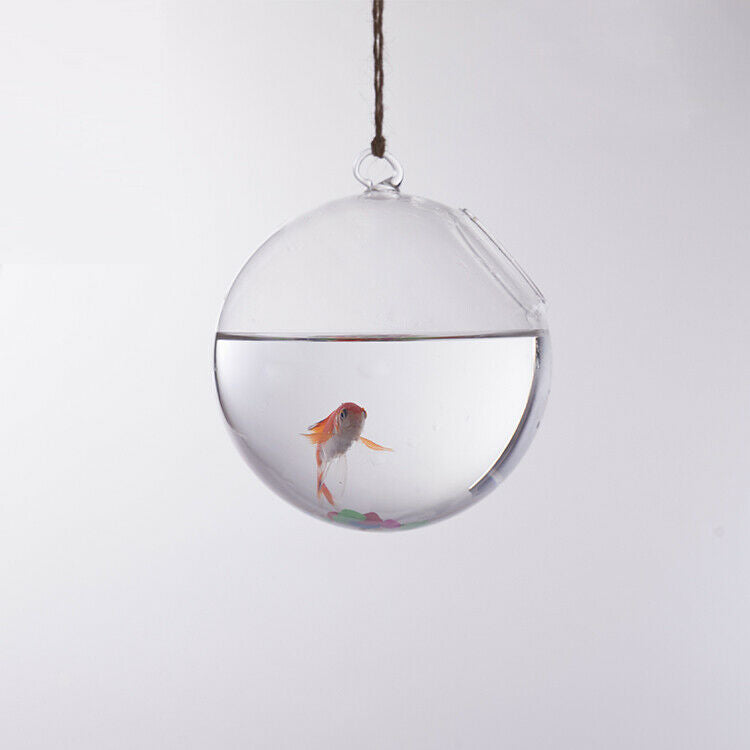 Ball Shaped Glass Hanging Flower Pot Vase