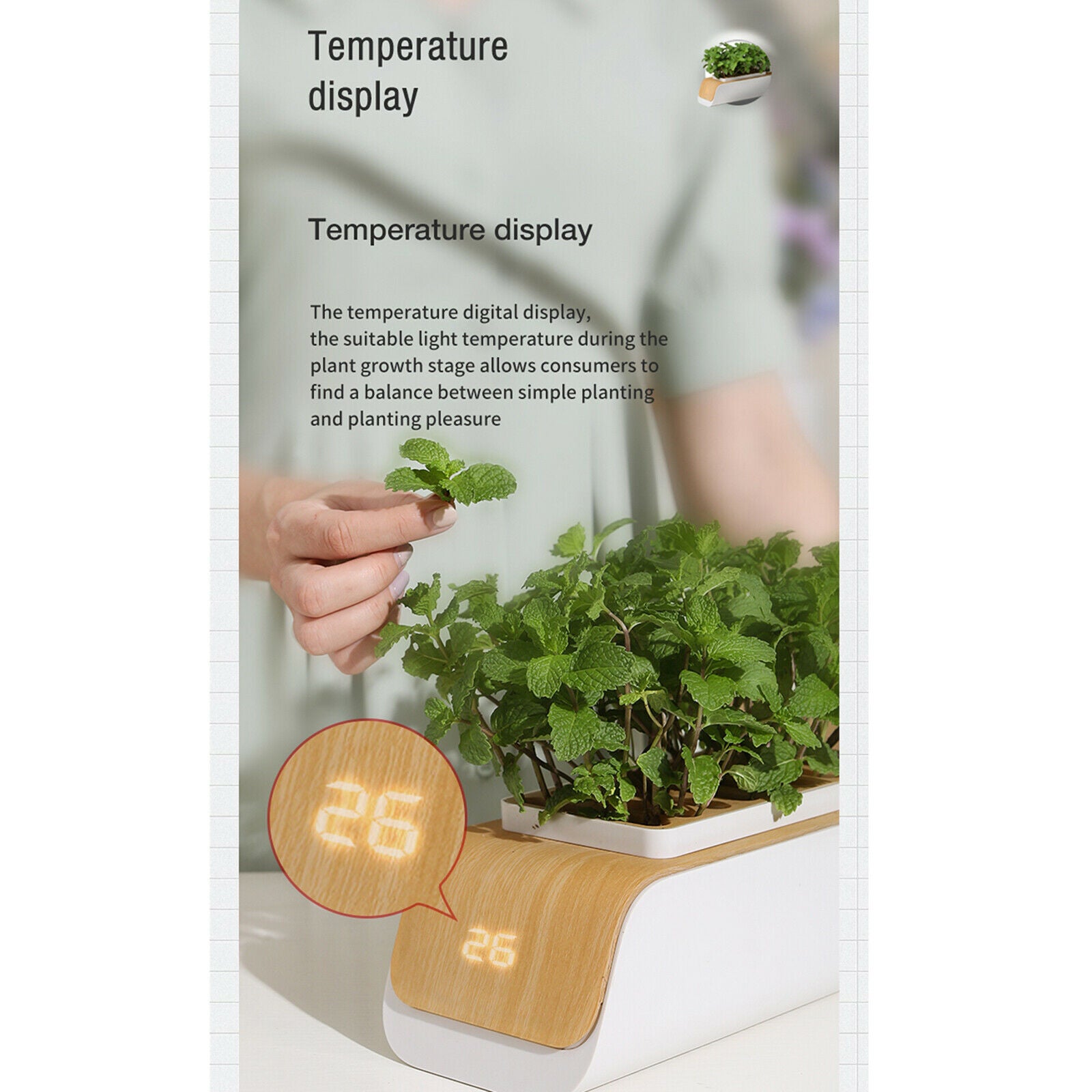 Indoor Herb Garden Starter Kit Kitchen Smart Planter LED Grow Light Kit