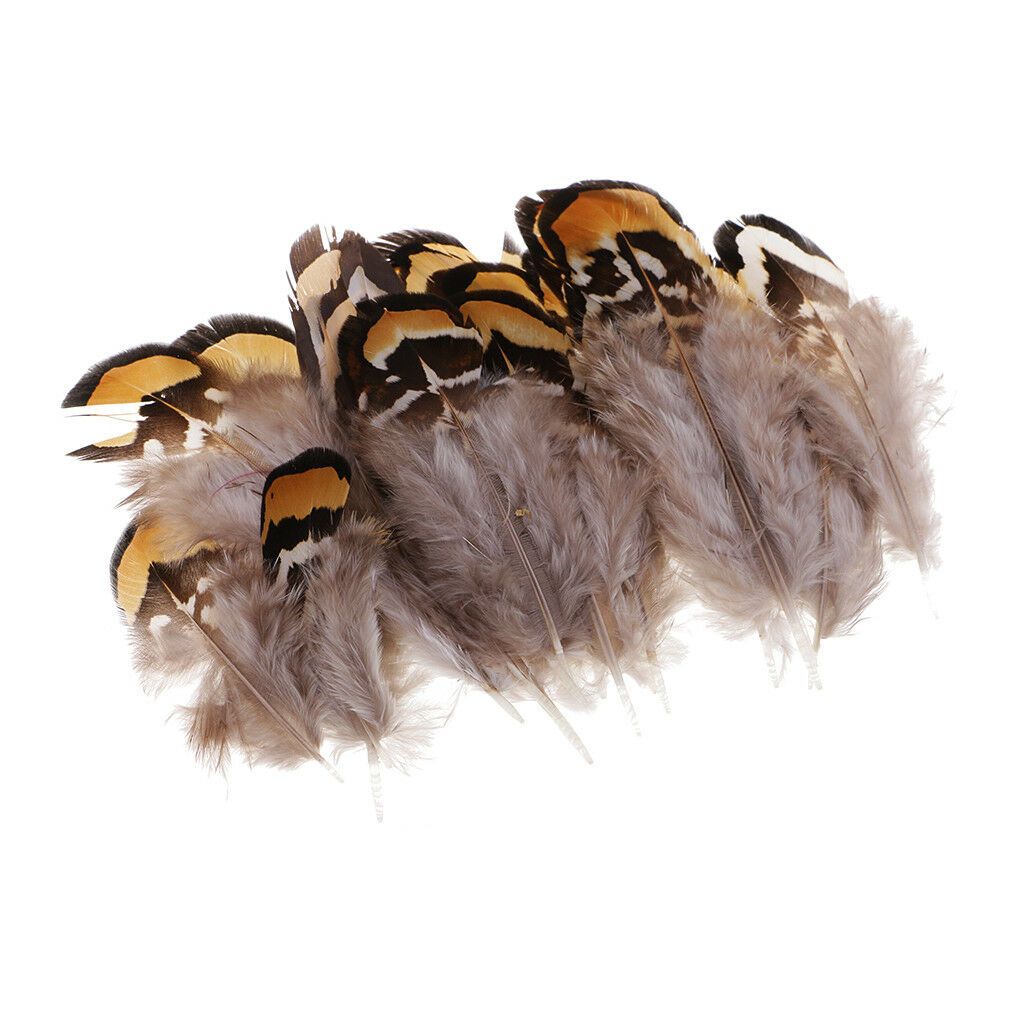 24x Natural Pheasant Feather for Fascinator Millinery Headwear Decor 5-11cm
