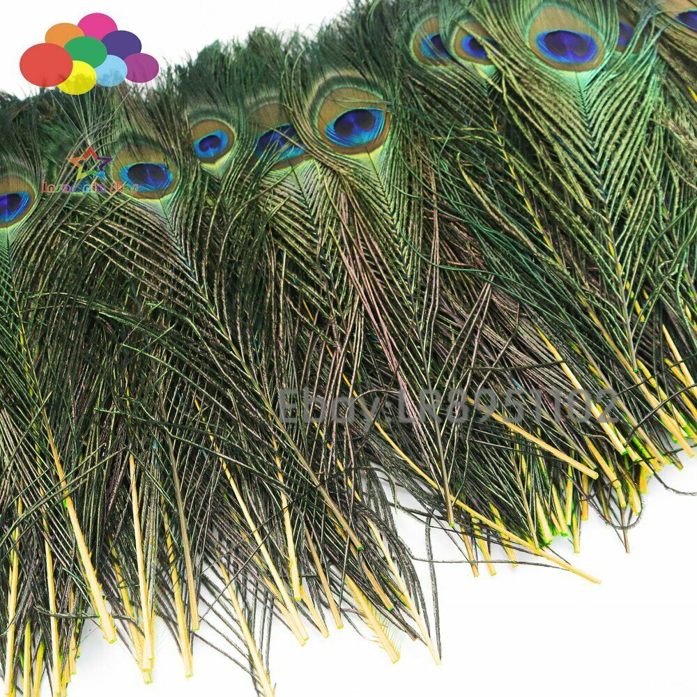 100pcs Beautiful Yellow 25-30cm Peacock Feathers Eyes for DIY Clothes Decoration