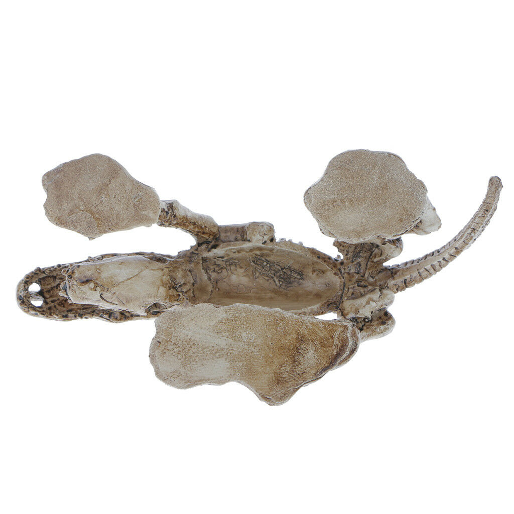 Decorative Ornament for Reptile Terrarium Vivarium Decor#6 Dinosaur Skeleton