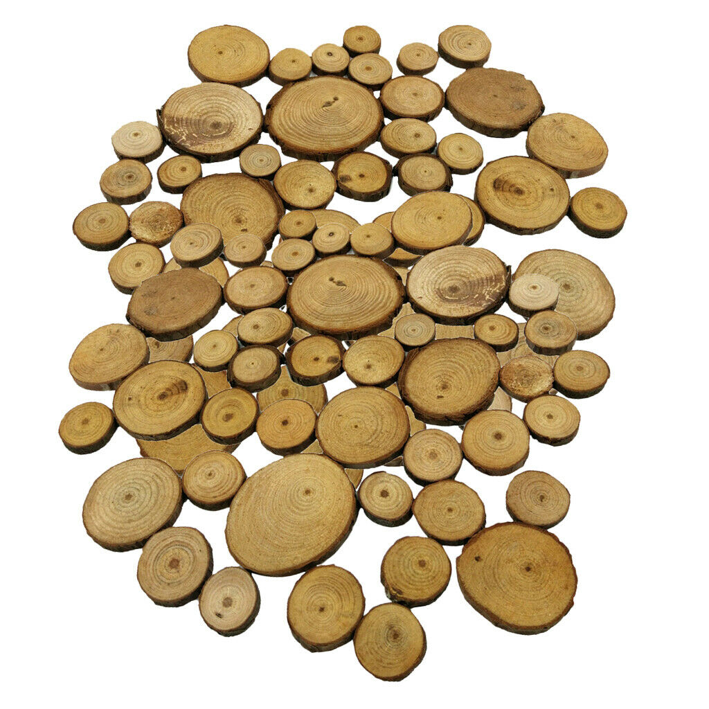 100x Wood Tree Slices Disc Pine Tree Log Plaques for Drawing Paintings 2-4cm