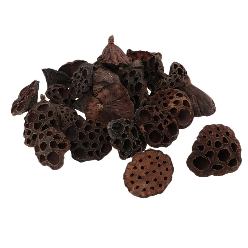 90x Natural Real Dried Lotus Pod For Flower Arrangement Home Decors Rustic