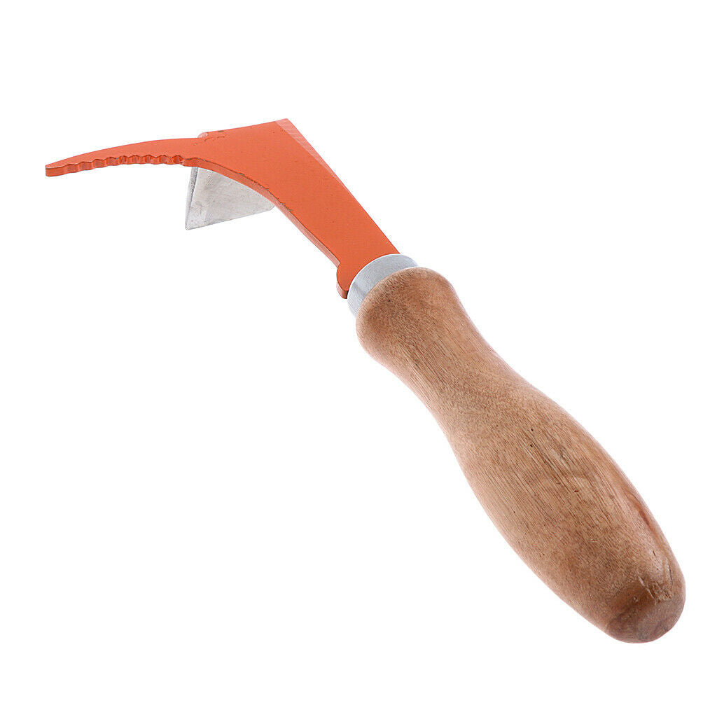 Best Choice Bee Hive Scraper Tool Two in One Stainless Steel for Beekeepers