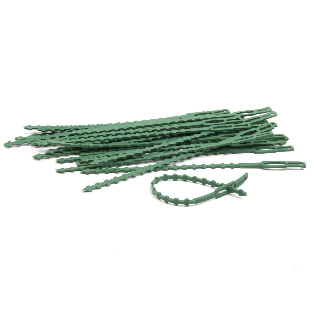 60pcs 16.5cm Plastic Cable Ties Gardening