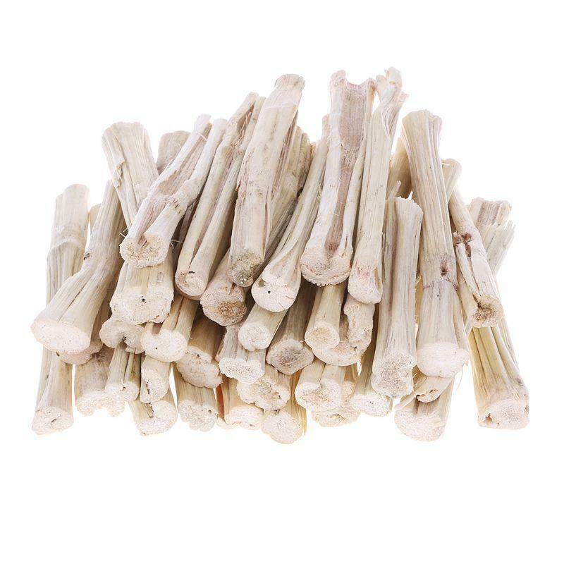 500g Sweet Bamboo Stick Branch Hamsters Chinchillas Rabbit Parrot Rat Guinea Pig