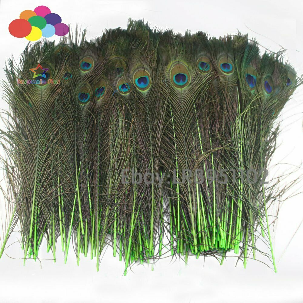 Fruit green crafts 40-45cm Peacock Eye Tail feathers DIY hair wedding party home