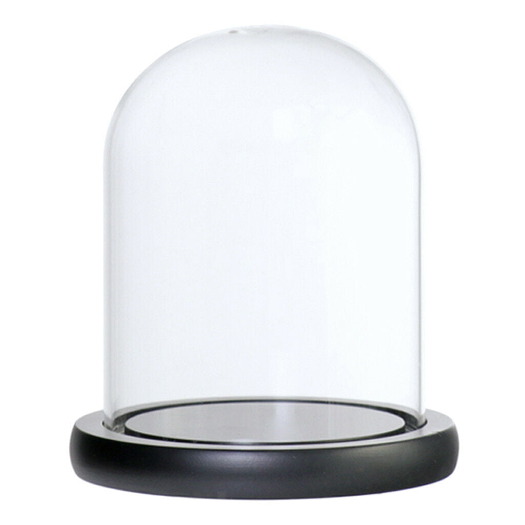 Glass Display Dome Cloche Bell Jar With Wooden Base for DIY Decor_Black C