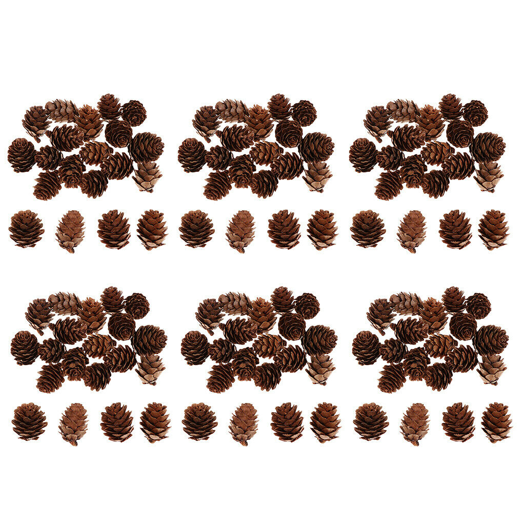 120pcs Pine Cones Decorative Premium Pinecones Home Party DIY Embellishments