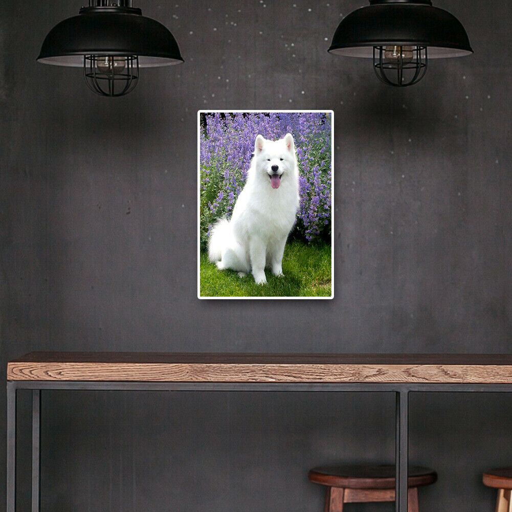 White Dog Full Round Drill 5D Diamond Painting Embroidery Kit Cross Stitch @