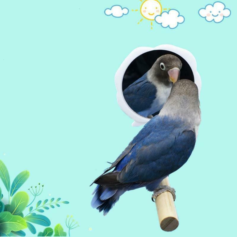 Parrot Perch Strong Wooden Jungle Gym Roosting Bar Parrot Toys With Mirror