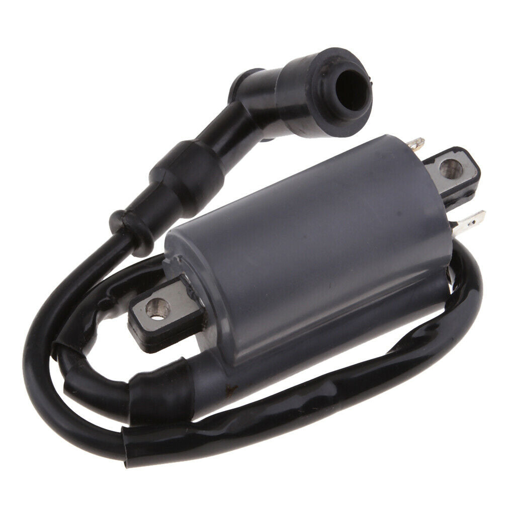 Motorcycle Ignition Coil For Buyang 300CC D300 G300 H300 Scooter Moped ATV,
