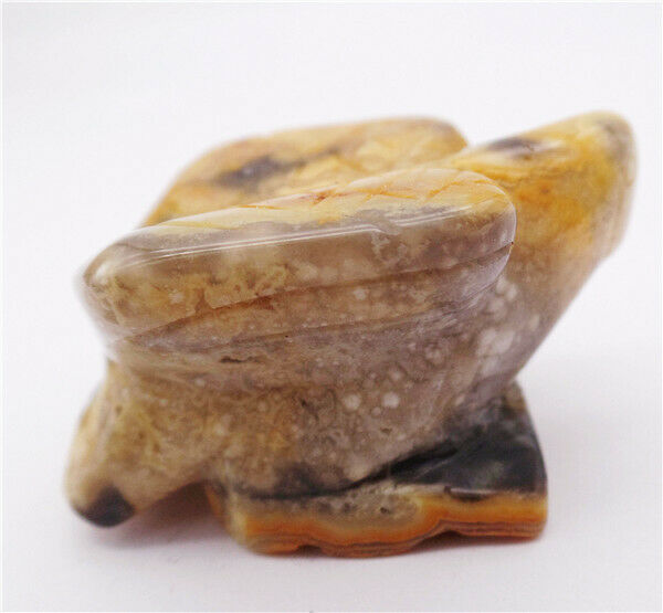 47g 50x30x25mm Natural Crazy Lace Agate Carved Eagle Healing Statue Decor HH8082