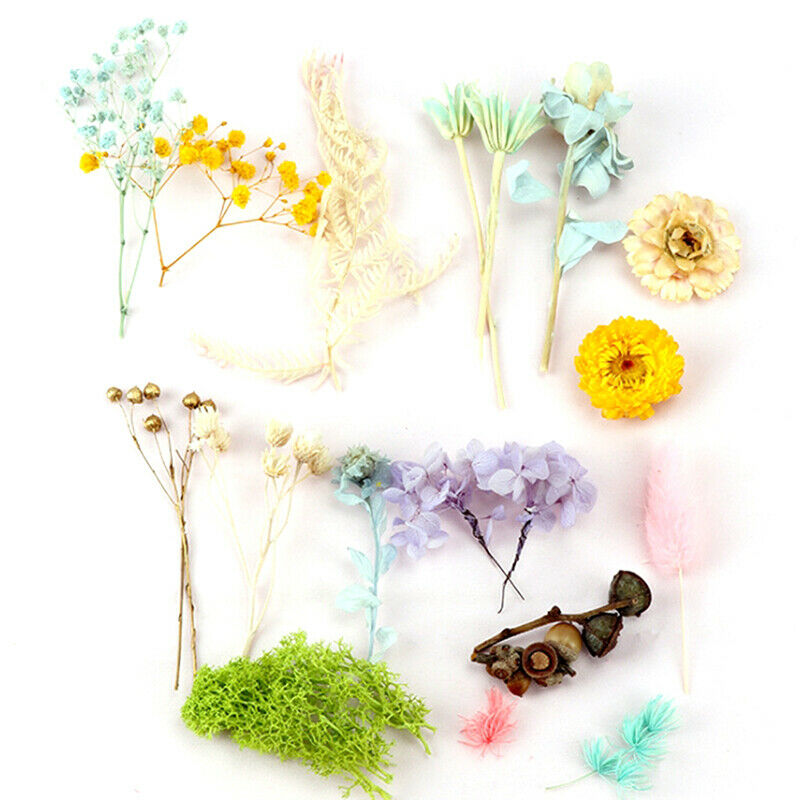 1Box Random Real Dried Flower Dry Plants DIY Aromatherapy Candle Epoxy Re.l8