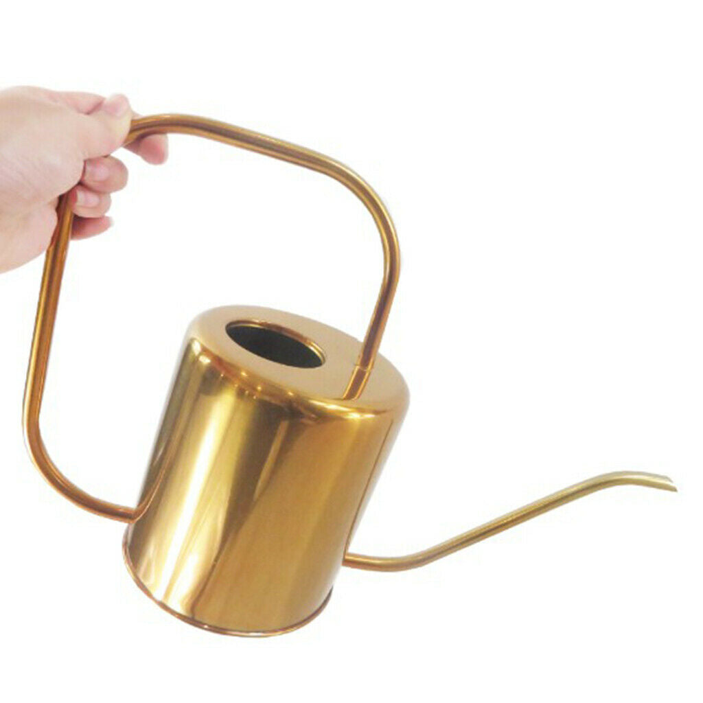 Rustproof Metal Can Sprayer Irrigation Tool Indoor Flowers Bonsai Herbs