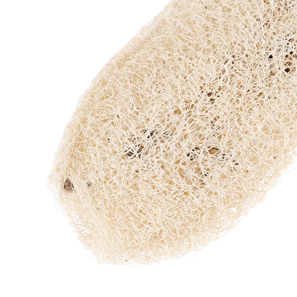 Natural unprocessed luffa Loofah Antibacterial Loofah bath body scru.l8