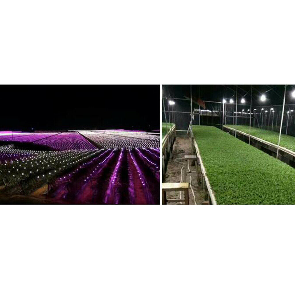 E27 LED Indoor Outdoor Plants Grow Light Bulbs 85-265V 7W NO.4