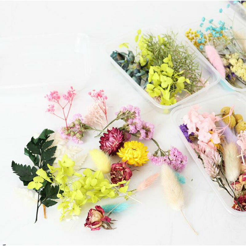 1 Box Dried Flower Real Dry Plants For Aromatherapy Candle Craft DIY Accessor Rf