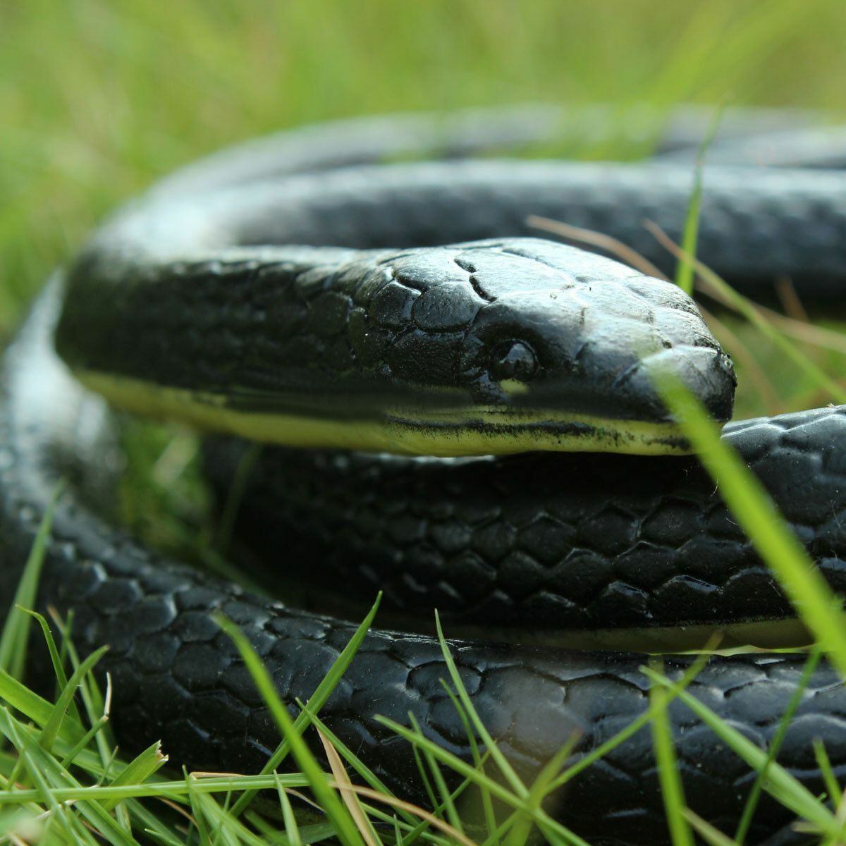130cm Long RÃ©aliste Caoutchouc Souple Serpent Jardin HÃ©lices DrÃ´le Blague Jouet