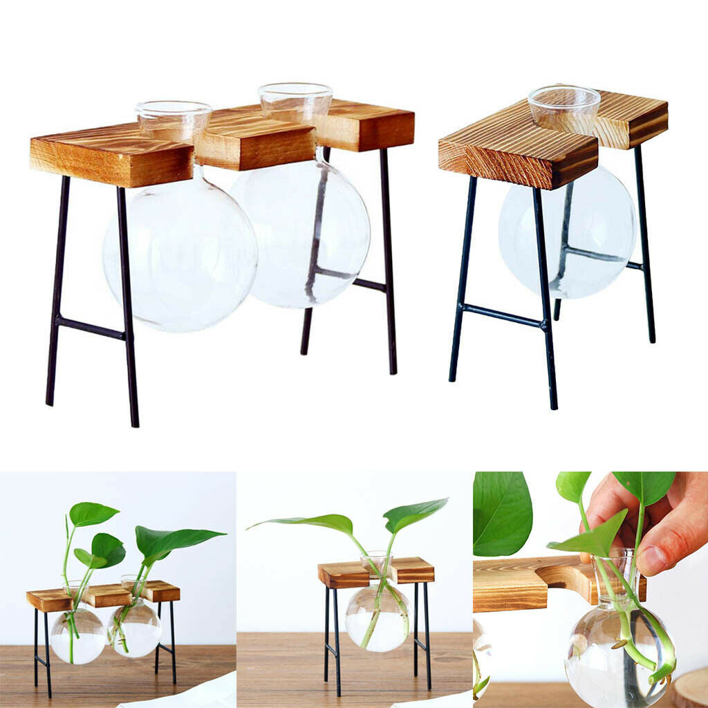 Set of 2 Hydroponic Glass Planter Container in Wooden Stand Plant Stand