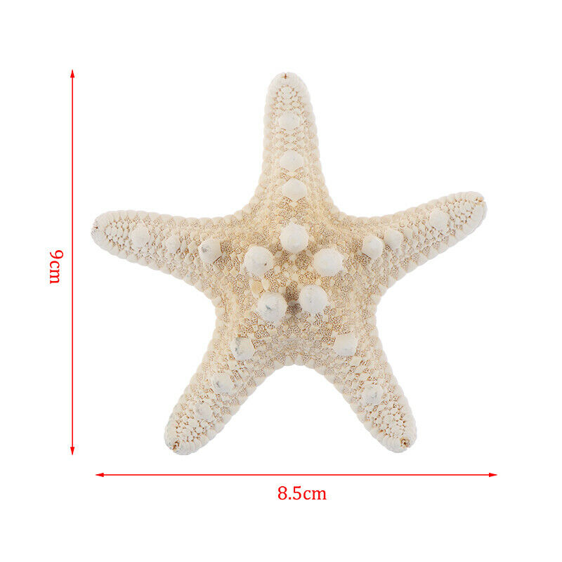 Starfish Crafts Decor Starfish DIY Shell Sea Fish Party Beige Starfish Decor Fx