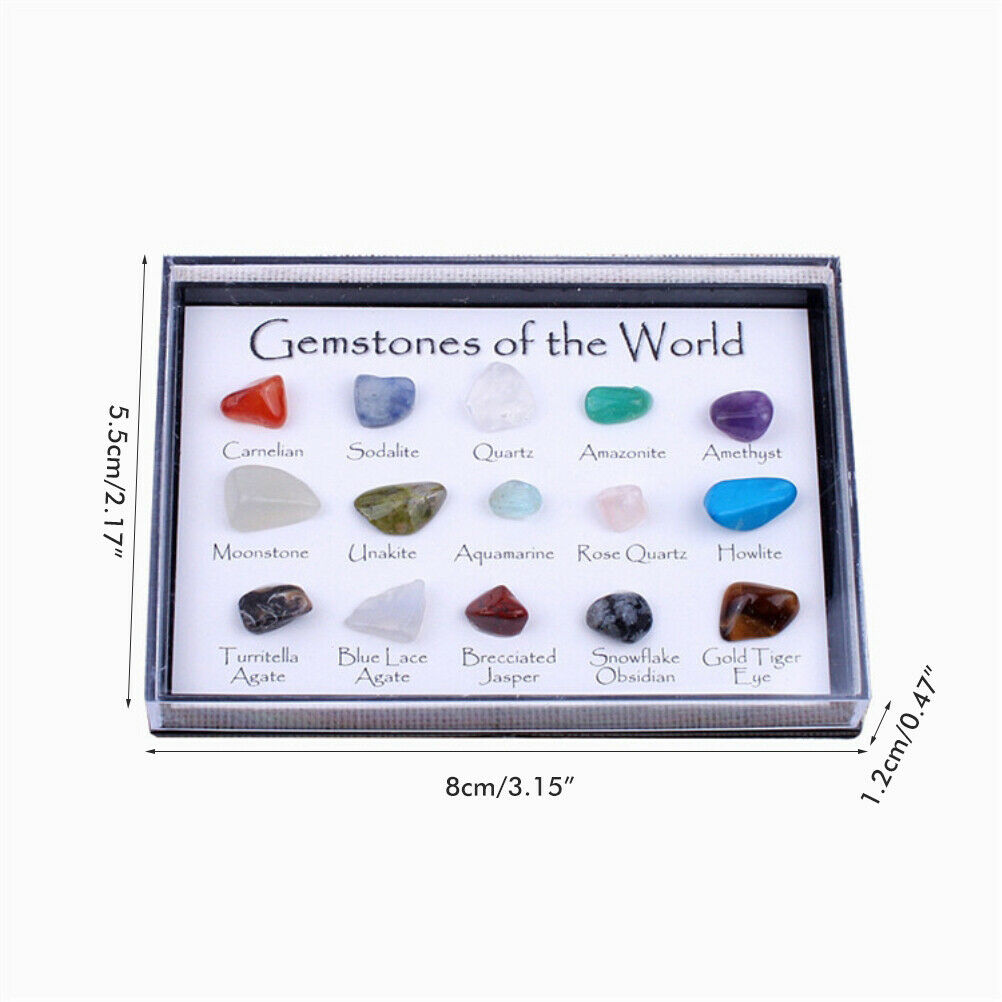 15 Pcs Mini Natural Crystal Agate Stone Rocks Minerals Fossils for Kids Teaching