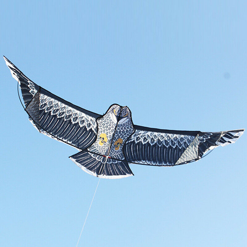 New Huge 1.5m Eagle Kite single line Novelty animal Kites Children's toys US HOT