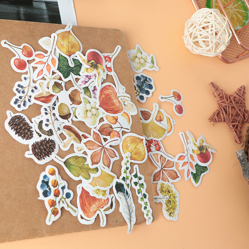 46pcs/lot Autumn Fallen leaves Plant Paper Diary Mini Cute box Stickers  b_h Qx