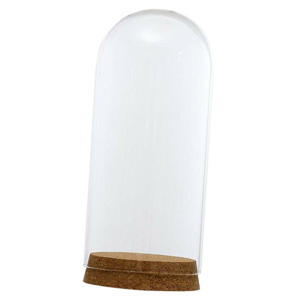8x18 & 6.5x10cm Glass Dome Cover Cloche Bell Jar Terrariums with Wood