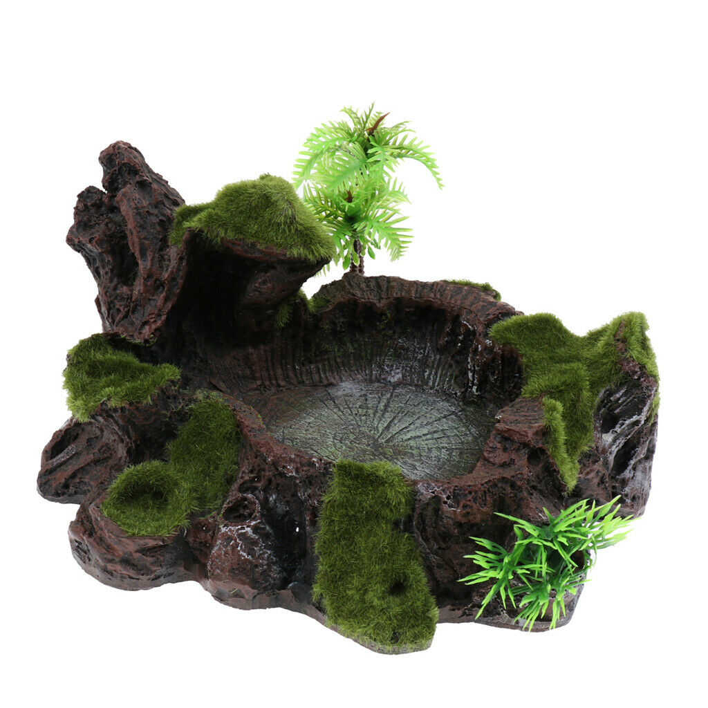 Plant Moss Decor Anqique Rock Style Water Bowl Food Dish Terrarium Habitat Decor