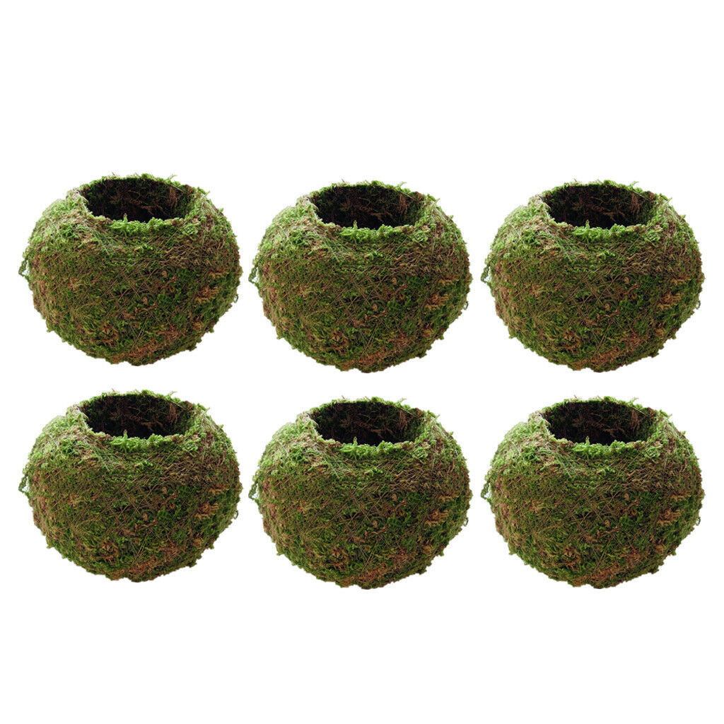 6 x Natural Moss Planting Ball Flower Pot Succulent Pot Garden Ornament 9cm
