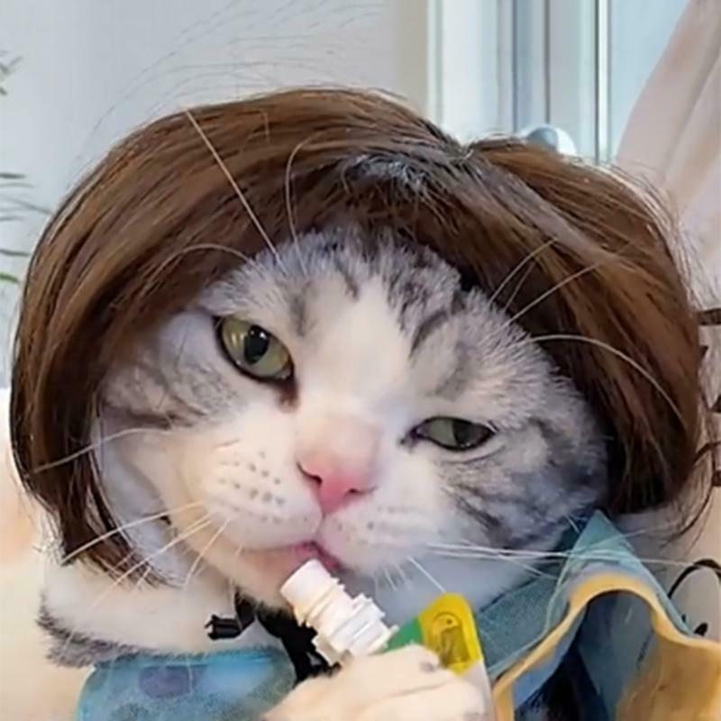 Fashion Funny Pet Wigs Cat Halloween Christmas Festival Canvial Party Cute Gift