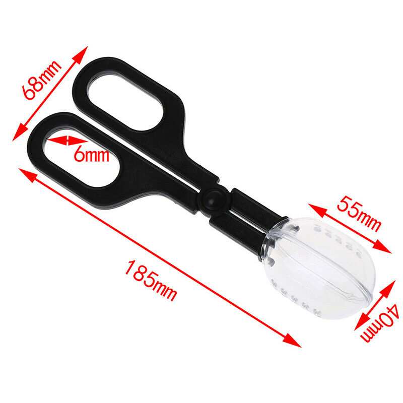Reptile Supplies Climbing Pet Clips Feeding Reptiles Insect Breeding Worm ClipDD