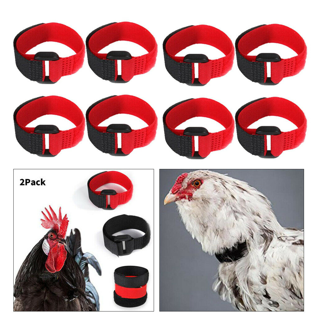 8pcs Rooster Collar Prevent Rooster from Screaming for Poultry Rooster Goose