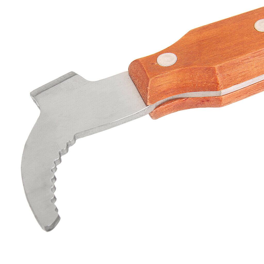Multi-function Heavy Stainless Steel Bee Keeper  Scraper Beekeeping Tool