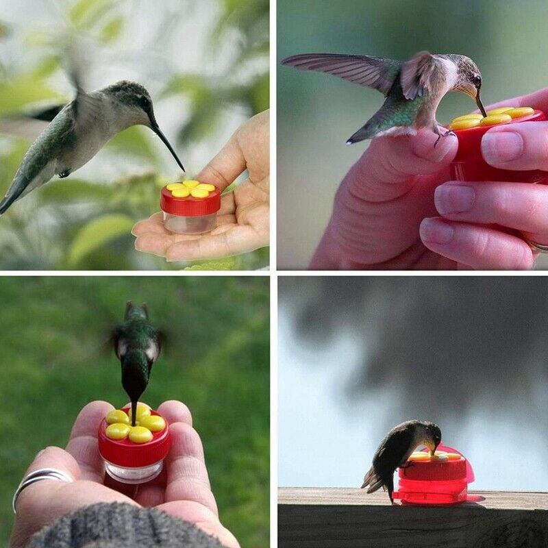 6 Pack Handheld Bird Feeders with Suction Cup,Multifunctional Mini Feeder wiB4I4