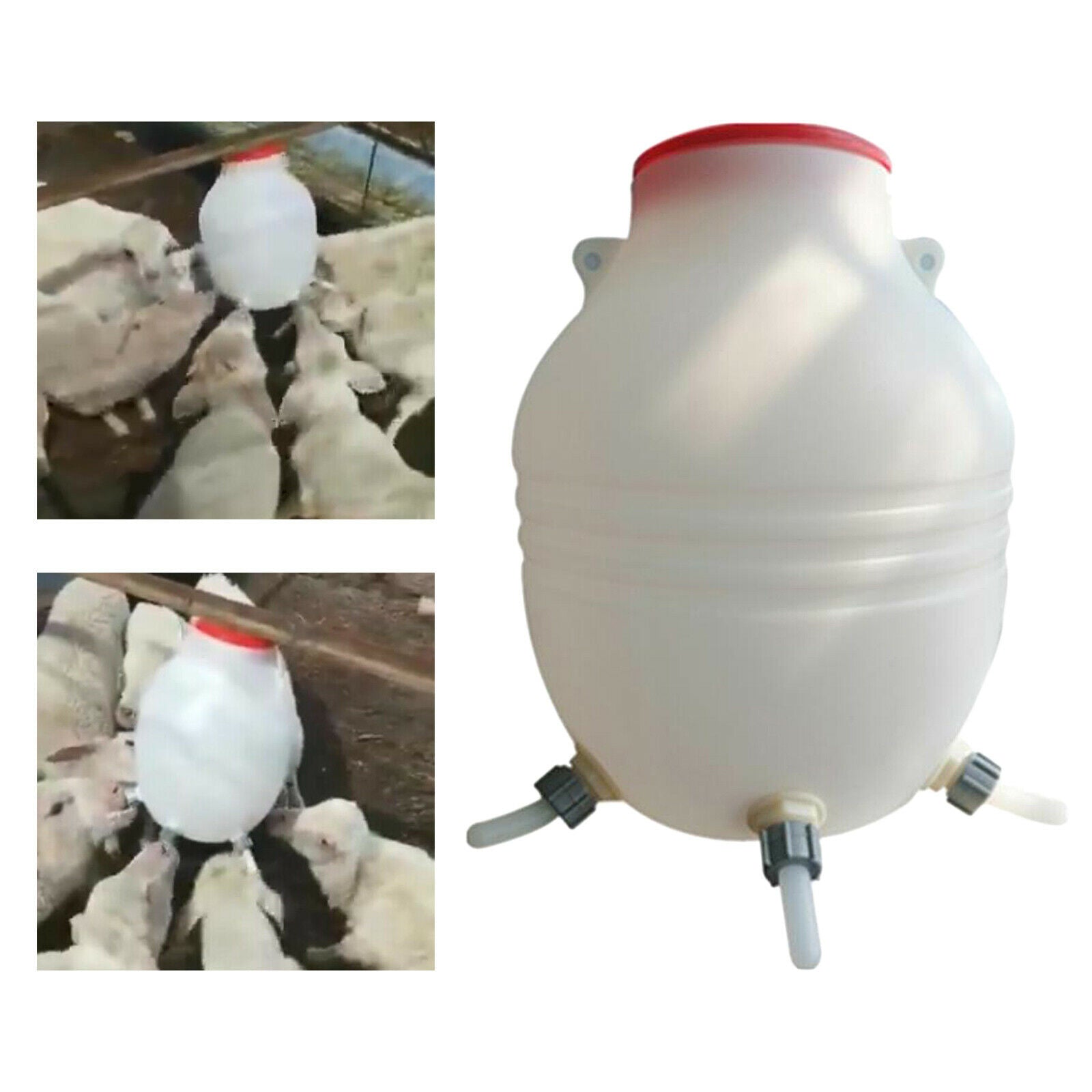 8L Lamb Feeder Bucket for Farm Animal Dog Poultry Feeding Pot Accessories