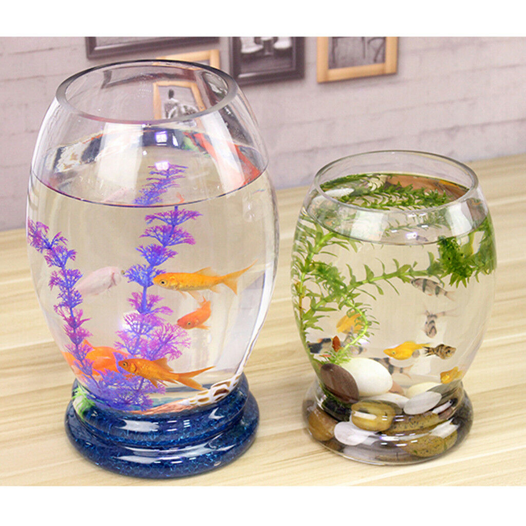 Transparent Glass Aquaponic Tank Aquarium Bowl Desktop Decoration 2