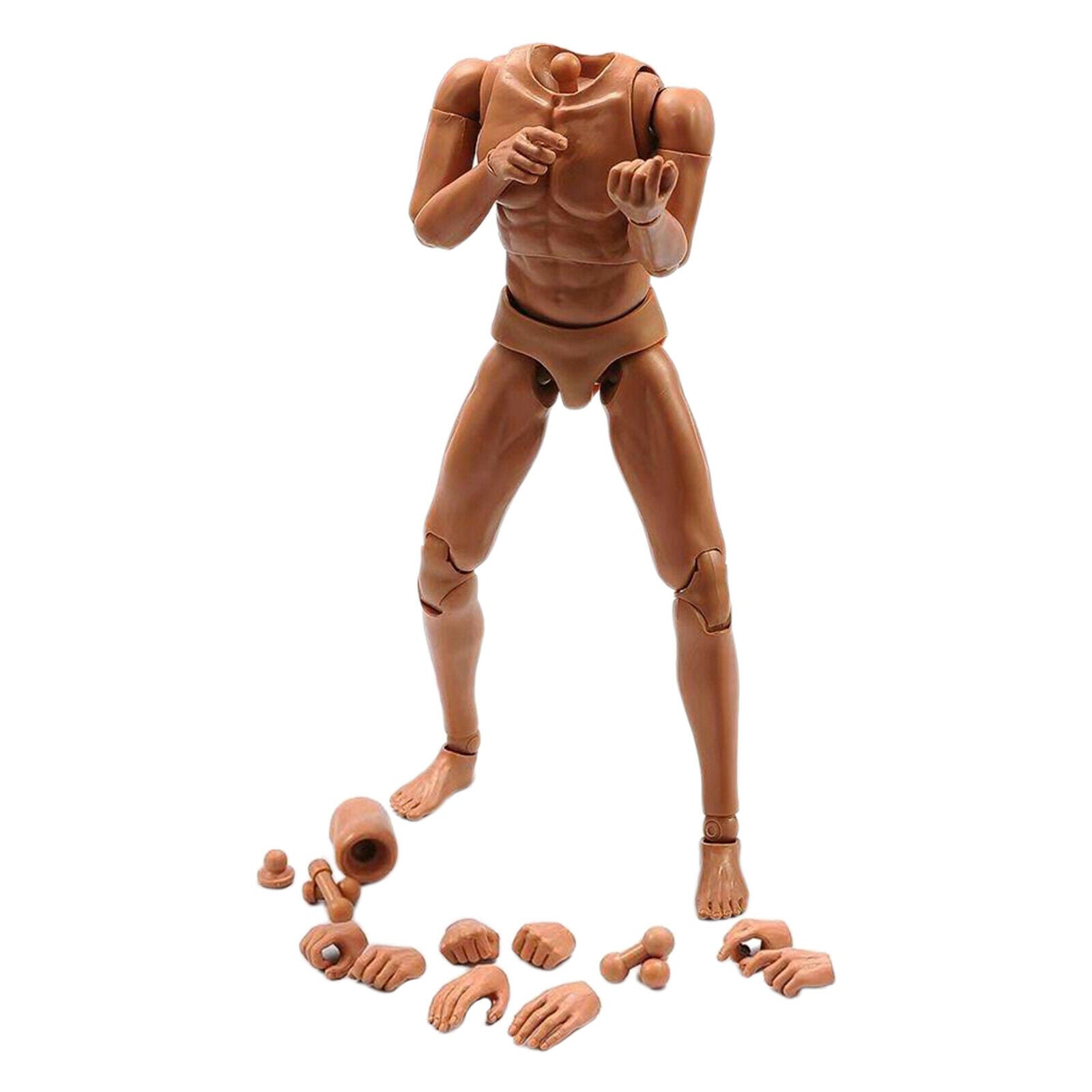 1/6 Male Narrow Shoulder Body Figures Male Muscle Body Toys for HT DAM