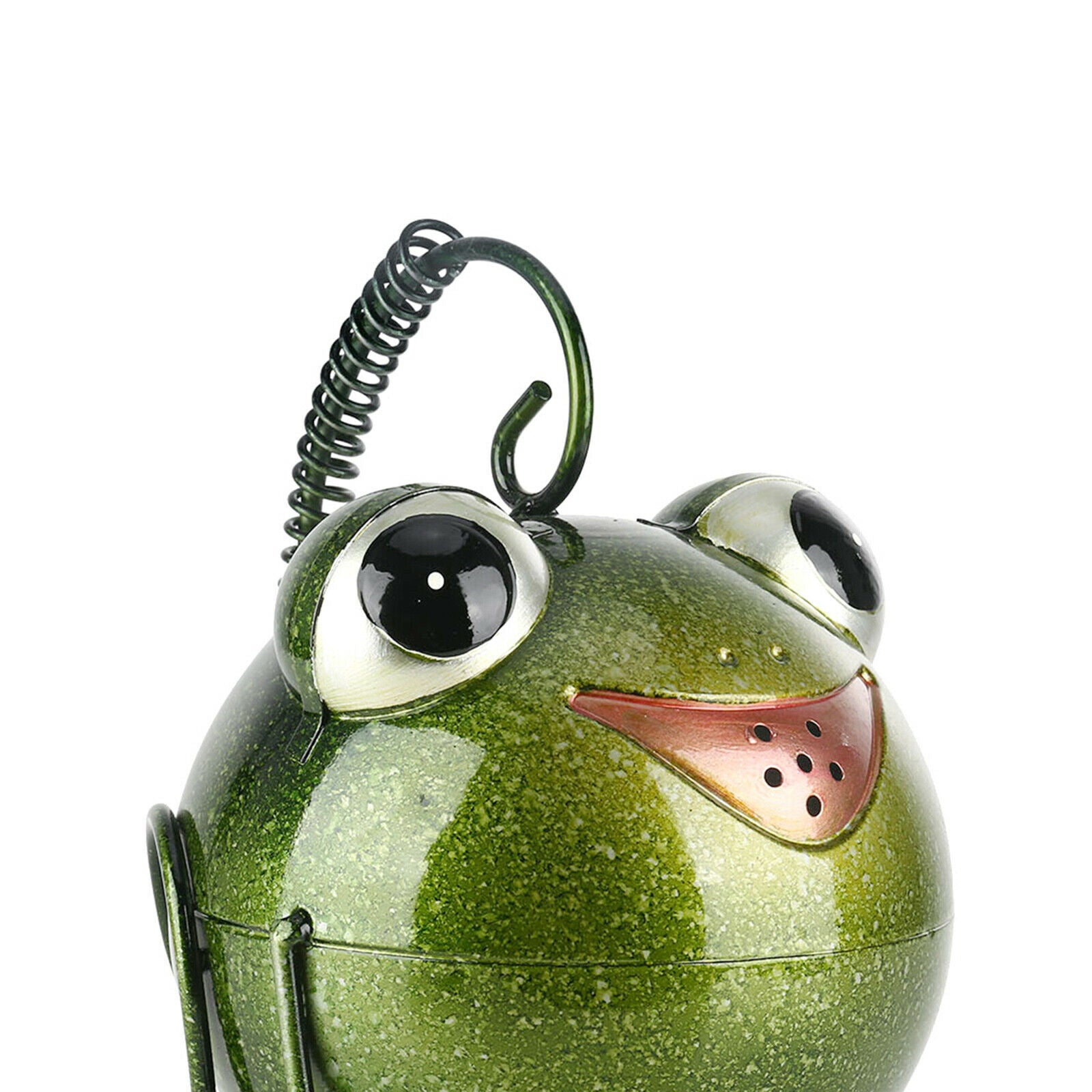 Frog Statue Watering Can Outdoor Watering Pot for Houseplants Foliage Plants