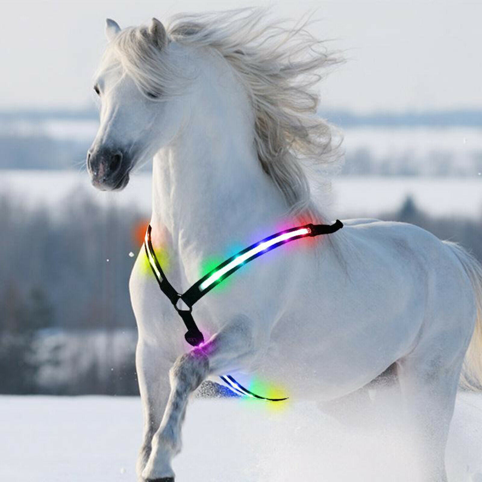 LED Horse Breastplate Collar Bridle Halter Night Neon Lights High Visibility