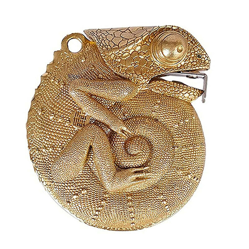 Chameleon Tape Measuring Ruler Ring Brass Insect Shape Measure Centimeter Ru DF