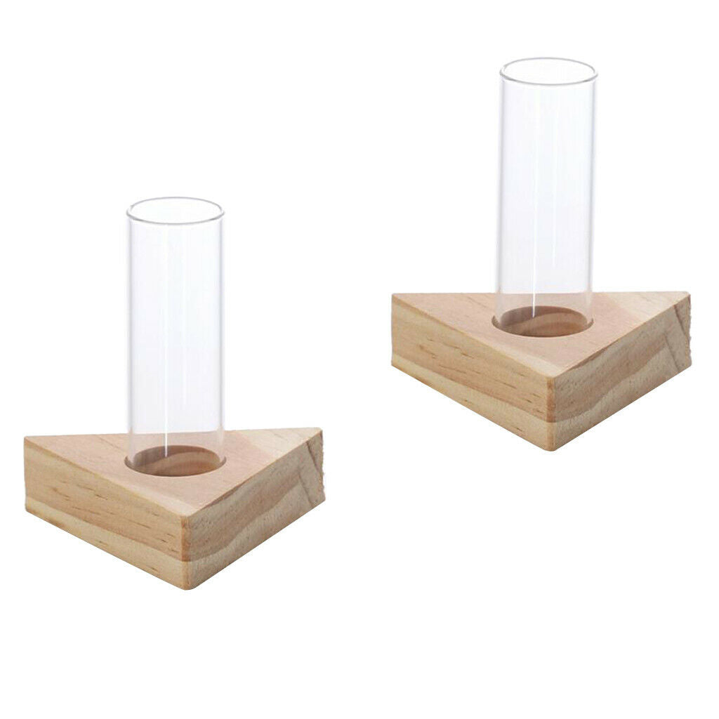 2pcs Glass Test Tube Vase In Wooden Stand For Hydroponic Plants DIY Planting