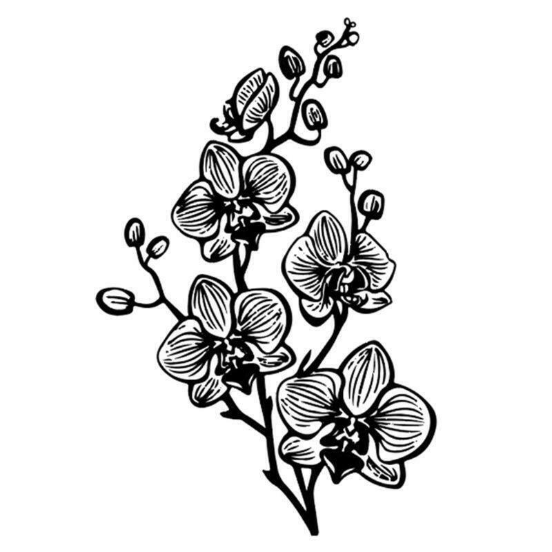 Phalaenopsis Silicone Clear Seal Stamp DIY Scrapbooking Embossing Photo Album