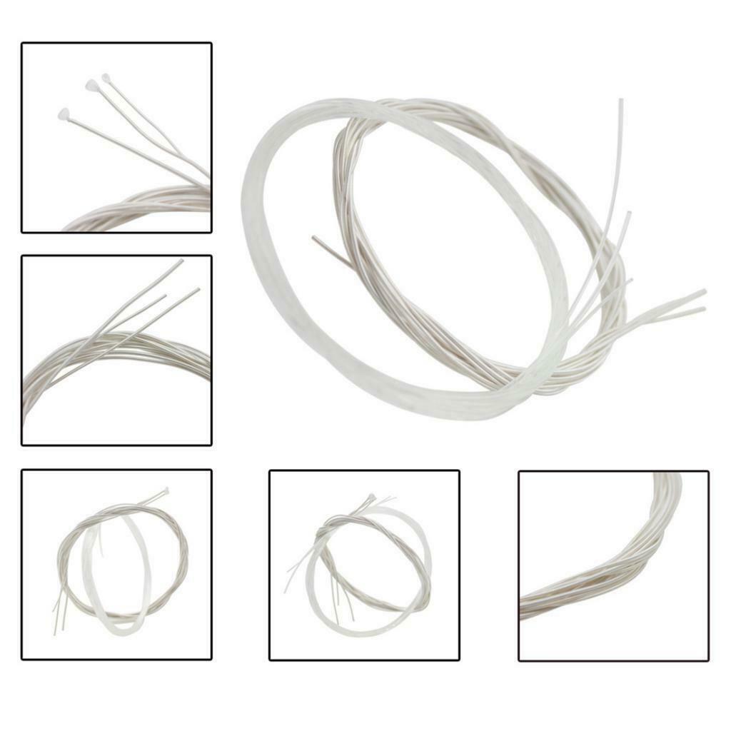 Durable 6pcs Clear Nylon Classical Guitar String Set C102 E / B / G / D