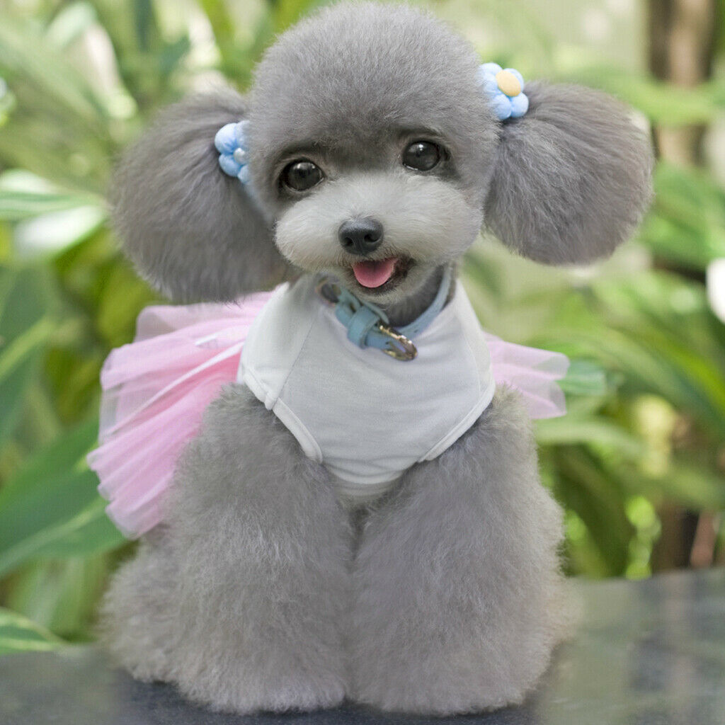 2 Pcs Summer Sweet Style Pet Dog Skirt, Cute Female Girl Pink Princess Dress for
