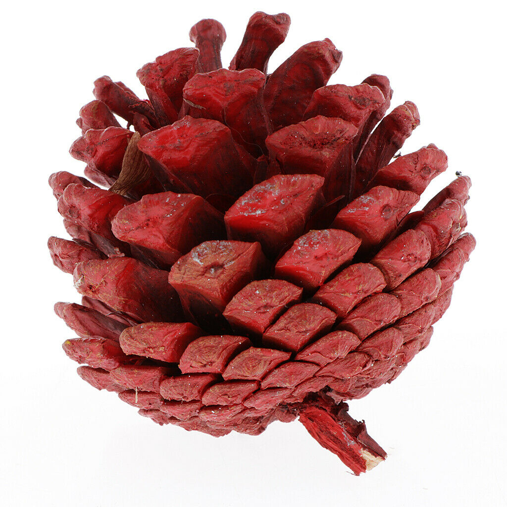 10pcs colorful real pine cone baubles decorations kids DIY festival hanging