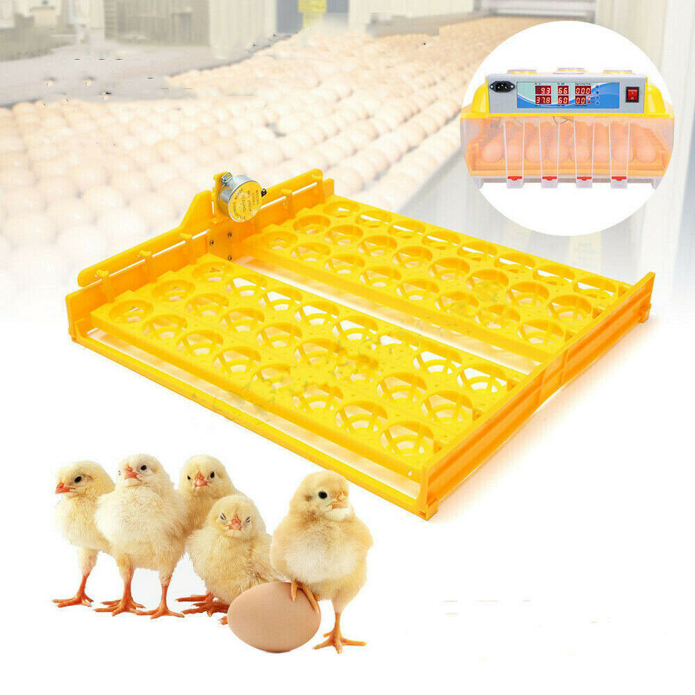 220V 56 Digital  Automatic Egg Turner with Egg Racks - Fits Chicken, Partridge,